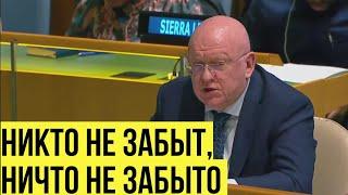 Германия хочет поучать всех? Небензя в ООН осудил резолюции о «геноциде в Сребренице»