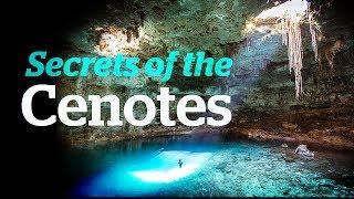 Secrets of the Cenotes