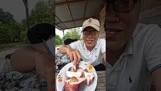 Mukbang Jambu dikebun #vlogging #mukbang