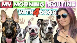 My morning routine with FOUR DOGS