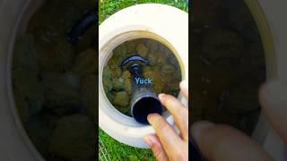 #cleaning out #pool #filter and luster pool filter balls #yuck to #clean #shorts #shortvideo