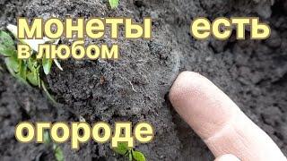 Потерянные монеты в огородах.Коп с эквиноксом.Находки есть всегда!!!