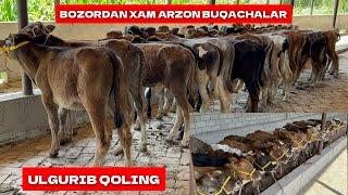 BOZORDAN XAM ARZON BUQACHALARGA ULGURIB QOLING