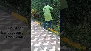 Go Green Landscapers .#trendingshorts #trending #nairobi #viralshort #viral #viralvideo #kenya