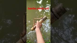 Luar Biasa, Wujud Bambu Petuk Asli