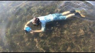 Jay Fleming Photographs Grass in the Severn River