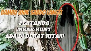 MBOLANG BAMBU UNIK DI IKUTI SAMA MBAK KUNT 