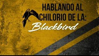 hablando al chilorio de la ITALIKA BLACKBIRD 250| shorts tiktok