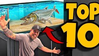 Top 10 MONSTER FISH TO OWN!!!