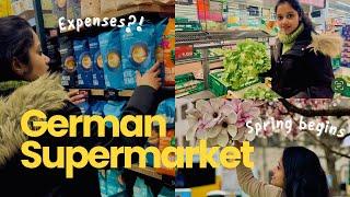 Grocery ഷോപ്പിംഗ് എത്ര ചിലവ് വരും?  Supermarket Expenses in Germany | Malayalam Vlog