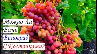 Можно ли есть виноград с косточками?