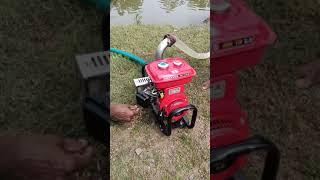 Honda Kerosene water pump in live