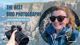 The BEST bird photography location in the UK!  