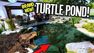 Incredible Turtleman's Turtle Ponds