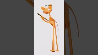 How To Get Slim (Animation Meme) @NutshellAnimations #funny #cat #animation #meme