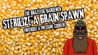 How To Sterilize Grain Spawns Without A Pressure Cooker | The Grateful Gardener