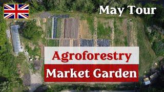 May Tour of Ortoforesta - Agroforestry Market Garden