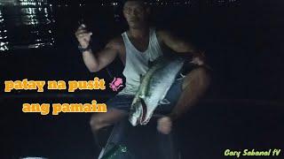 effective bait patay na pusit malaking isda ang nahuli(pabitay handline fishing@night) #squidbait