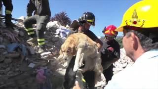 Marigliano.net - Amatrice - Salvataggio dei Vigili del Fuoco