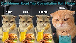 CAT MEMES Road Trip Compilation Full One Hour