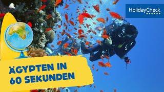 Ägypten in 60 Sekunden – Reisetipps für den Urlaub | HOLIDAYCHECK