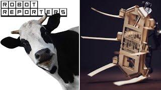 Robotic Pill for Happy, Healthy Cows