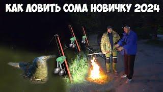 КАК ЛОВИТЬ СОМА НОВИЧКУ!!! РЫБАЛКА на СОМА ЛЕТОМ ДОНКОЙ с БЕРЕГА