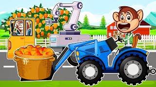 MONKEY FARM WORK: MANGO HARVESTING - How to Mango Picking ??? | Funny Tractor, Vehicle Farm Cartoon