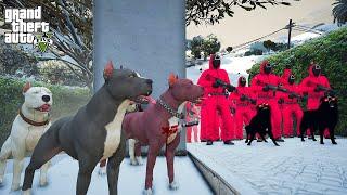 CANAVAR PİTBULL MONSTER AİLEMİZE SIĞINDI! PEŞİNDEKİLER KİM? - GTA 5