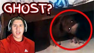 Scary Ghost Videos Compilation #80 REACTION