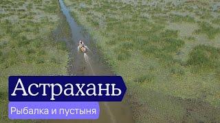 Астрахань — не только рыбалка? | Отчёт разведки