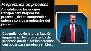 Que son los propietarios de procesos?