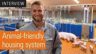 Group housing of lactating sows | AGILO HL