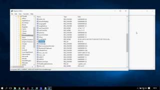 How to disable auto update idm on windows 10