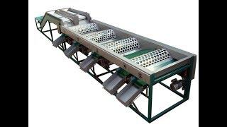 tomato sorting machine from Sally 0086-15937125109