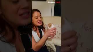 Breastfeeding Puppies: A Heartwarming Moment