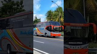 BIG BUS ROSALIA INDAH SASIS HINO NGEBUT SAMPAI OLENG #shorts #trending #subscribe