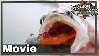  TOURNAMENT BAITS KIKKER COMPETITION | PredatorTour 2019 | European fishing event | Pike fishing