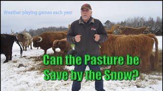 Can The Pasture be Saved by the Snow