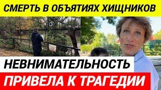 Растерзана львами: трагедия в знаменитом сафари-парке "Тайган"