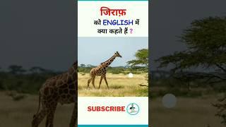 जिराफ़ को इंग्लिश में क्या कहते हैं? giraffe ki English/ giraffe in English / English Vocabulary