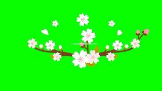 Beautiful Rose Copyright free || spring season background video effects || Rose | No copyright video