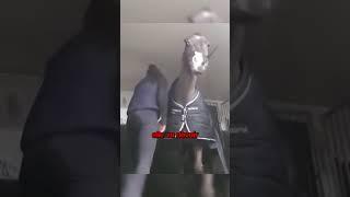 Ce Cheval est un Obsédé ️