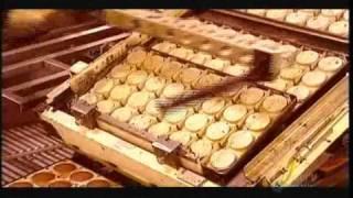 How It's Made Snack cakes