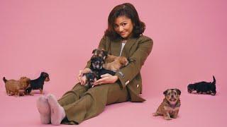 Zendaya: The Puppy Interview