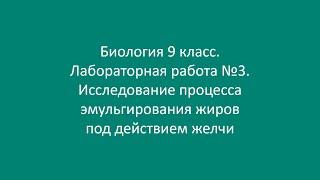 Биология 9 класс. Лаб. работа №3. Исследование процесса эмульгирования жиров под действием желчи