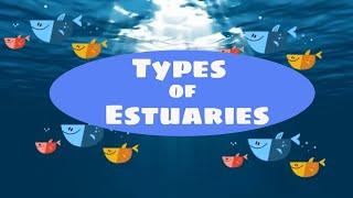 Types of estuaries