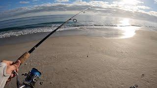 You Don't Need A Big Surf Rod To Fish From The Beach - Beach Fishing With A 6 to 7ft Rod