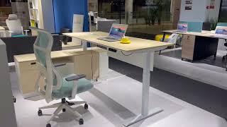 Noel furniture office table