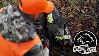 Drückjagd in Tschechien [#3] #trailer #huntondemand #drivenhunt #drückjagd